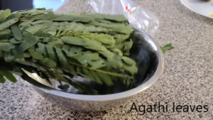 Vegetable Hummingbird Leaves